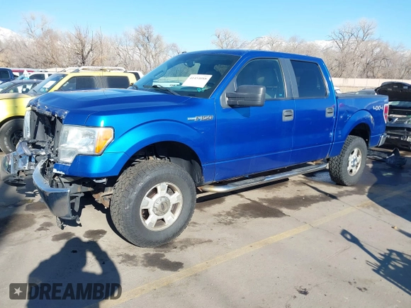 2010 Ford F-150 XL with VIN 1FTEW1E87AFB51697, listed as a IAAI auction lot 41454088 with 171,787 mi miles and . Bid and sale history available at DreamBid. Image 17.