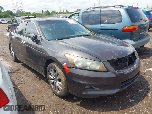 2011 Honda Accord EX-L with VIN 1HGCP3F82BA009739, listed as a IAAI auction lot 42440821 with 193,100 mi miles and . Bid and sale history available at DreamBid. Image 1.