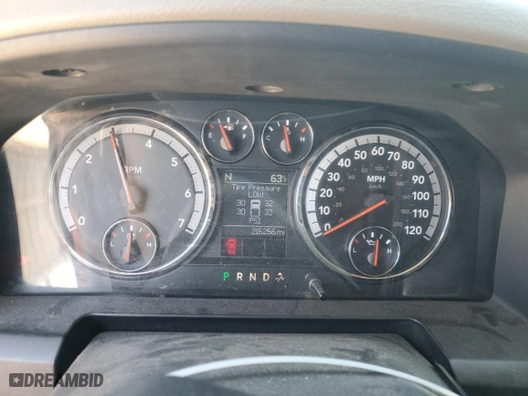 2010 Dodge Ram 1500 SLT with VIN 1D7RB1GPXAS159999, listed as a Copart auction lot 48591925 with 215,256 mi miles and Salvage Title. Bid and sale history available at carsss.com. Image 9.