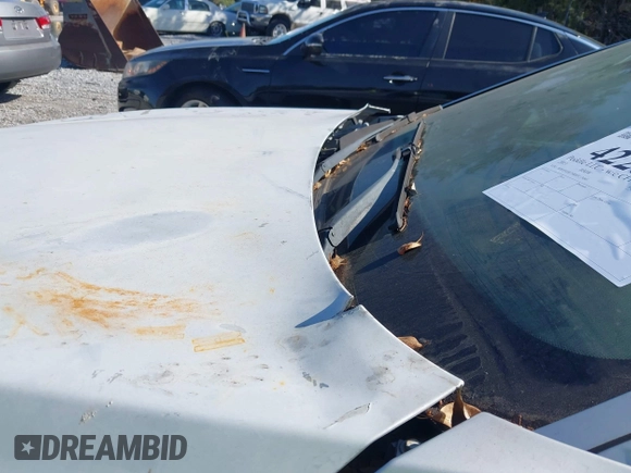 2013 BMW 7 Series 750Li with VIN WBAYE8C50DD133041, listed as a IAAI auction lot 42280002 with Not provided miles and . Bid and sale history available at DreamBid. Image 20.