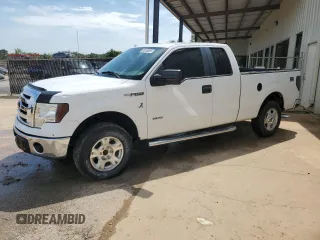 2011 Ford F-150 XL with VIN 1FTFX1CT0BFD00025, listed as a Copart auction lot 62658155 with 253,412 mi miles and Clean title. Bid and sale history available at DreamBid. Image 1.