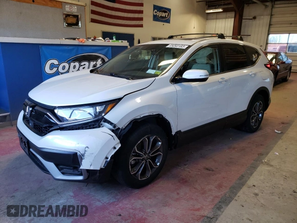 2020 Honda CR-V EX with VIN 2HKRW2H59LH652608, listed as a Copart auction lot 45093183 with 31,525 mi miles and . Bid and sale history available at DreamBid. Image 1.