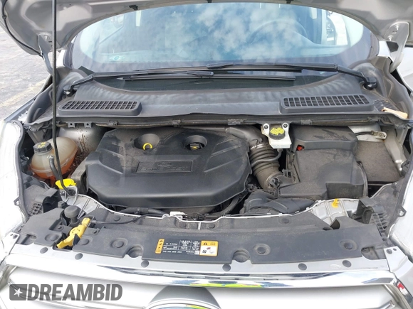 2017 Ford Escape SE with VIN 1FMCU0G90HUC81240, listed as a IAAI auction lot 40607814 with 68,333 mi miles and . Bid and sale history available at DreamBid. Image 10.