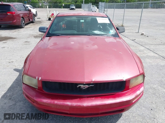 2005 Ford Mustang Deluxe with VIN 1ZVFT80N755162548, listed as a IAAI auction lot 42718109 with 98,194 mi miles and . Bid and sale history available at DreamBid. Image 12.
