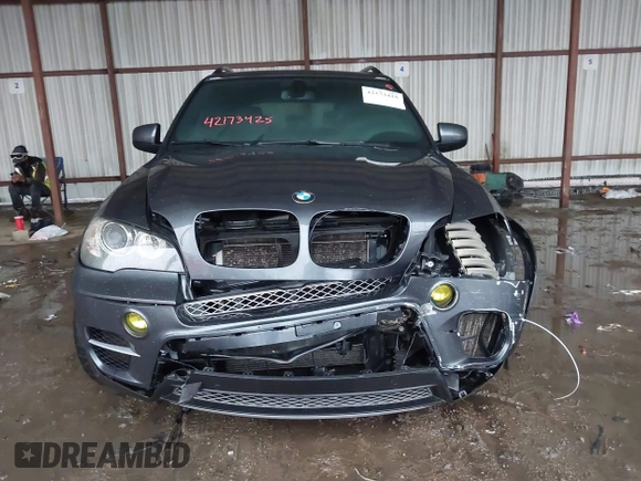 2011 BMW X5 50i with VIN 5UXZV8C59BL419527, listed as a IAAI auction lot 42173425 with 185,802 mi miles and . Bid and sale history available at DreamBid. Image 13.