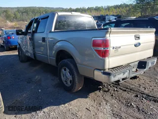 2010 Ford F-150 XL with VIN 1FTEW1C88AFA10043, listed as a IAAI auction lot 41764767 with 222,301 mi miles. Bid and sale history available at carsss.com. Image 3.