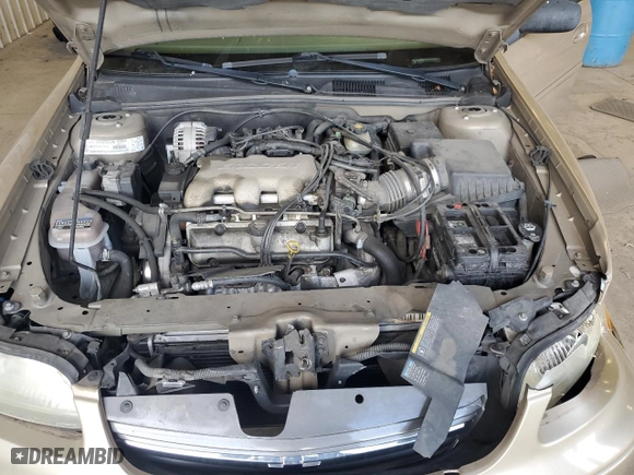2003 Chevrolet Malibu with VIN 1G1ND52J13M593371, listed as a Copart auction lot 53184755 with 126,021 mi miles and Salvage Title. Bid and sale history available at carsss.com. Image 11.