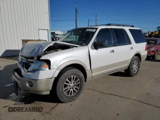 2010 Ford Expedition Eddie Bauer with VIN 1FMJU1J58AEA64456, listed as a Copart auction lot 42231095 with 220,834 mi miles and Salvage title. Bid and sale history available at DreamBid. Image 1.