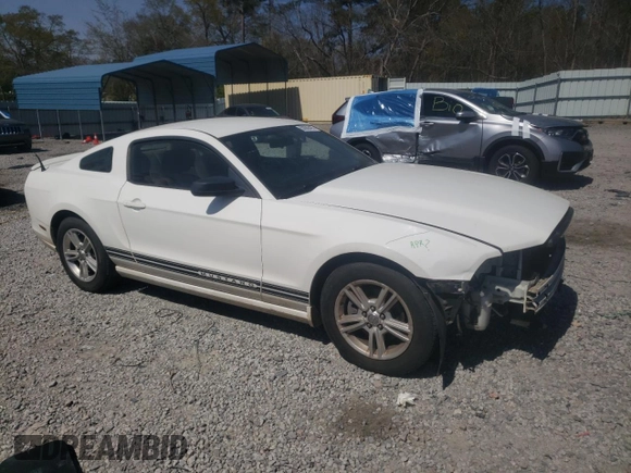 2013 Ford Mustang V6 with VIN 1ZVBP8AM2D5223442, listed as a Copart auction lot 50686485 with 113,422 mi miles and Salvage Title. Bid and sale history available at carsss.com. Image 4.