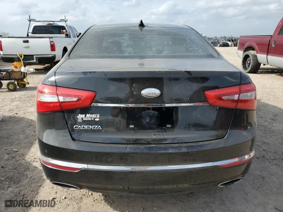 2014 Kia Cadenza Premium with VIN KNALN4D79E5118813, listed as a Copart auction lot 48371515 with 142,172 mi miles and Salvage Title. Bid and sale history available at carsss.com. Image 6.