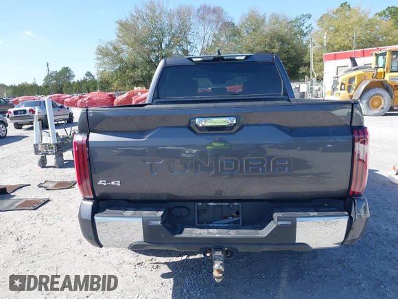 2022 Toyota Tundra 1794 Edition with VIN 5TFMA5DB9NX015571, listed as a IAAI auction lot 41730283 with 76,429 mi miles and . Bid and sale history available at DreamBid. Image 16.