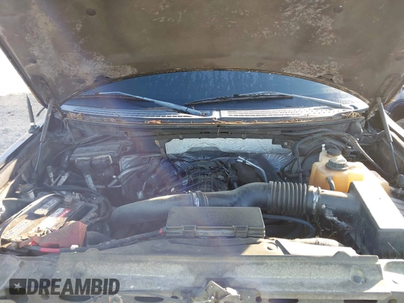 2011 Ford F-150 XLT with VIN 1FTFW1ET6BFA52931, listed as a IAAI auction lot 42832457 with Not provided miles and . Bid and sale history available at DreamBid. Image 10.