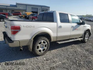 2010 Ford F-150 XL with VIN 1FTFW1EVXAFC09778, listed as a Copart auction lot 53793085 with 234,053 mi miles and Salvage title. Bid and sale history available at DreamBid. Image 3.
