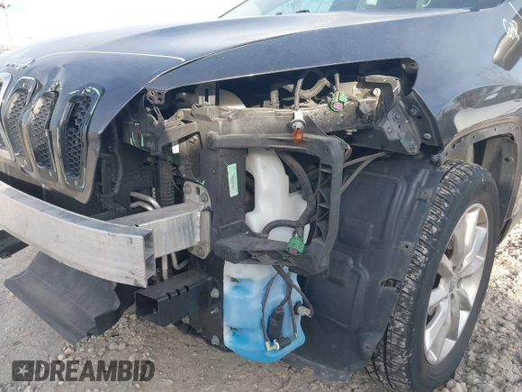 2017 Jeep Cherokee Limited with VIN 1C4PJMDBXHW582616, listed as a IAAI auction lot 41063889 with 125,839 mi miles and . Bid and sale history available at DreamBid. Image 18.