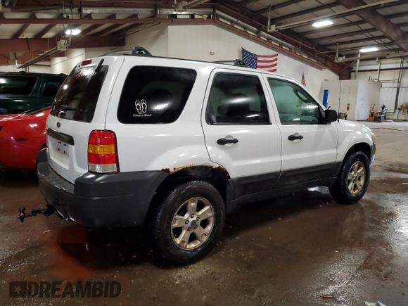2006 Ford Escape XLT with VIN 1FMYU03Z76KC14011, listed as a Copart auction lot 79539204 with 239,785 mi miles and Clean Title. Bid and sale history available at carsss.com. Image 3.