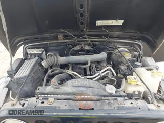 2001 Jeep Wrangler Sahara with VIN 1J4FA59S41P358035, listed as a IAAI auction lot 42685488 with 120,630 mi miles and . Bid and sale history available at DreamBid. Image 10.