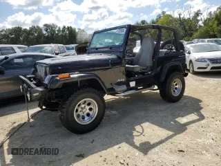 1995 Jeep Wrangler with VIN 1J4FY29SXSP230216, listed as a Copart auction lot 77257834 with 144,217 mi miles and Salvage Title. Bid and sale history available at carsss.com. Image 1.