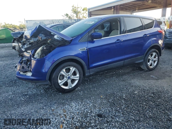 2014 Ford Escape SE with VIN 1FMCU0GX5EUE21079, listed as a Copart auction lot 49684035 with 120,238 mi miles and Salvage Title. Bid and sale history available at carsss.com. Image 1.