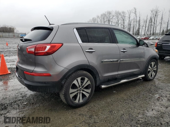 2013 Kia Sportage EX with VIN KNDPCCA24D7401149, listed as a Copart auction lot 48979365 with Not provided miles and Salvage title. Bid and sale history available at DreamBid. Image 3.
