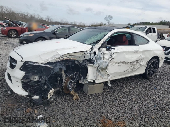 2022 Mercedes-Benz C 300 with VIN W1KWJ8DB3NG113978, listed as a Copart auction lot 48002755 with Not Provided miles and Salvage Title. Bid and sale history available at DreamBid. Image 1.
