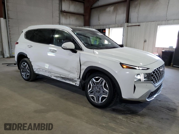 2021 Hyundai Santa Fe Hybrid Limited with VIN KM8S5DA15MU012485, listed as a Copart auction lot 59092344 with 30,948 mi miles and Salvage Title. Bid and sale history available at carsss.com. Image 4.