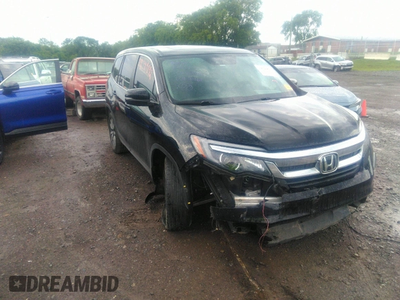 2021 Honda Pilot EX-L with VIN 5FNYF5H50MB011165, listed as a IAAI auction lot 39799892 with 95,040 mi miles and . Bid and sale history available at DreamBid. Image 1.