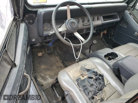 1994 Jeep Wrangler S with VIN 1J4FY19P6RP453045, listed as a Copart auction lot 73837484 with 165,406 mi miles and Clean Title. Bid and sale history available at carsss.com. Image 8.