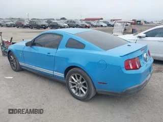 2010 Ford Mustang V6 with VIN 1ZVBP8AN6A5114955, listed as a IAAI auction lot 41219711 with 143,658 mi miles and . Bid and sale history available at DreamBid. Image 3.