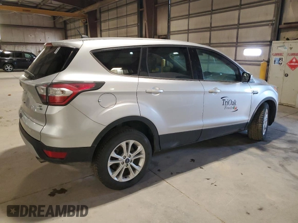 2017 Ford Escape SE with VIN 1FMCU9GD8HUB52557, listed as a Copart auction lot 48892005 with 213,217 mi miles and Salvage Title. Bid and sale history available at carsss.com. Image 3.