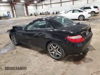 2013 Mercedes-Benz SLK-Class SLK 250 with VIN WDDPK4HA8DF061442, listed as a Copart auction lot 78720154 with Not Provided miles and Salvage Title. Bid and sale history available at carsss.com. Image 2.
