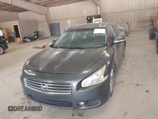 2009 Nissan Maxima S with VIN 1N4AA51E29C827105, listed as a IAAI auction lot 42445181 with 161,430 mi miles and . Bid and sale history available at DreamBid. Image 6.