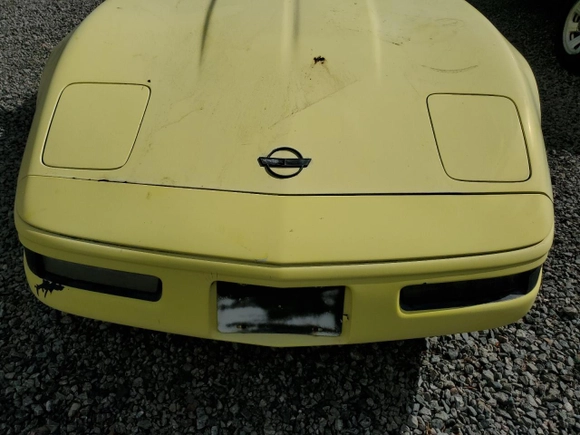 1992 Chevrolet Corvette with VIN 1G1YY23PXN5109648, listed as a Copart auction lot 78973164 with 0 mi miles and Salvage Title. Bid and sale history available at carsss.com. Image 11.