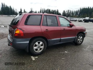 2005 Hyundai Santa Fe GLS with VIN KM8SC73D55U876565, listed as a Copart auction lot 81161004 with 204,205 mi miles and Salvage title. Bid and sale history available at DreamBid. Image 3.