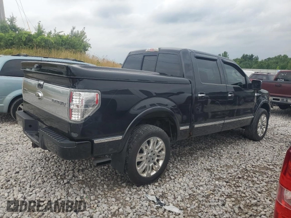 2011 Ford F-150 XLT with VIN 1FTFW1ET7BFB41617, listed as a Copart auction lot 64043745 with 244,526 mi miles and Clean title. Bid and sale history available at DreamBid. Image 3.