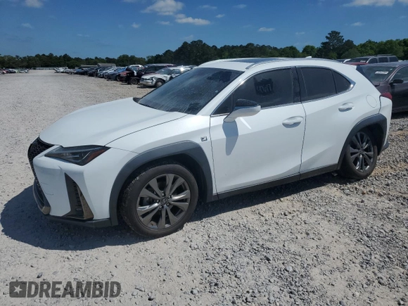 2019 Lexus UX 200 with VIN JTHY3JBH0K2019012, listed as a Copart auction lot 52217285 with 40,617 mi miles and Salvage title. Bid and sale history available at DreamBid. Image 1.
