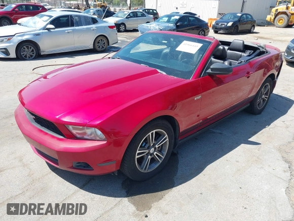 2011 Ford Mustang V6 with VIN 1ZVBP8EM6B5108804, listed as a IAAI auction lot 41966445 with 239,146 mi miles and . Bid and sale history available at DreamBid. Image 2.
