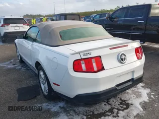2010 Ford Mustang V6 с VIN 1ZVBP8EN8A5177825, выставлен на аукционе IAAI как лот 41828793 с пробегом Не указан миль и . История ставок и продаж доступна на DreamBid. Изображение 3.