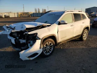 2020 Jeep Cherokee Altitude with VIN 1C4PJMLX8LD644306, listed as a Copart auction lot 88576285 with 30,025 mi miles and Salvage Title. Bid and sale history available at carsss.com. Image 1.