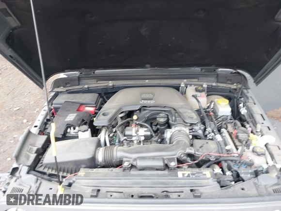 2021 Jeep Wrangler Unlimited Sahara with VIN 1C4HJXEG0MW703812, listed as a IAAI auction lot 42186089 with 50,349 mi miles and . Bid and sale history available at DreamBid. Image 10.