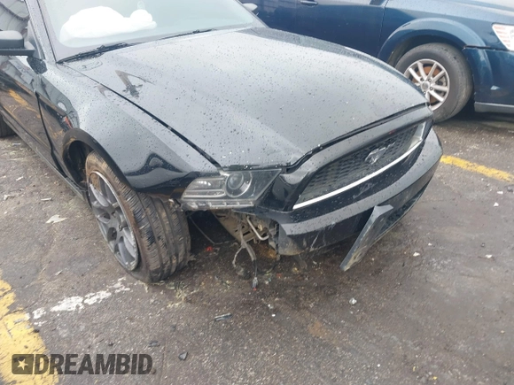 2013 Ford Mustang V6 with VIN 1ZVBP8AM9D5253490, listed as a IAAI auction lot 41856886 with 236,348 mi miles and . Bid and sale history available at DreamBid. Image 6.