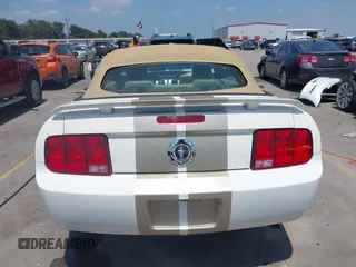 2006 Ford Mustang Standard with VIN 1ZVFT84N465107373, listed as a IAAI auction lot 42205471 with 60,598 mi miles and . Bid and sale history available at DreamBid. Image 16.