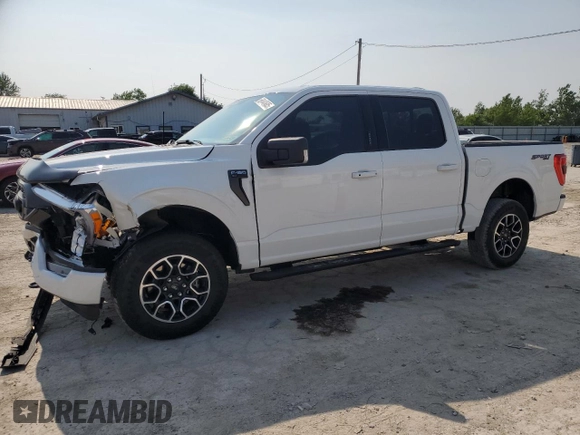 2023 Ford F-150 XL with VIN 1FTFW1E81PFA70563, listed as a Copart auction lot 60440685 with 31,198 mi miles and Salvage title. Bid and sale history available at DreamBid. Image 1.