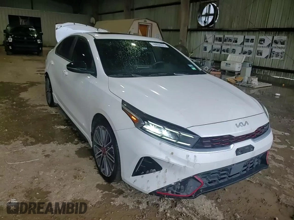 2024 Kia Forte GT with VIN 3KPF44AC0RE716612, listed as a Copart auction lot 44806025 with 29,872 mi miles and Salvage Title. Bid and sale history available at carsss.com. Image 10.