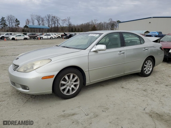 2003 Lexus ES 300 with VIN JTHBF30G736014368, listed as a Copart auction lot 48134145 with 183,463 mi miles and Salvage Title. Bid and sale history available at carsss.com. Image 1.