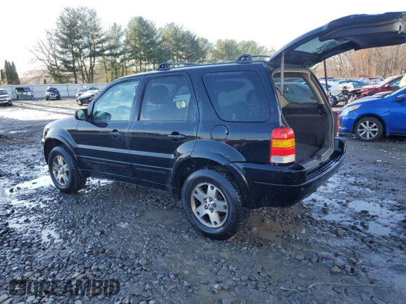 2003 Ford Escape Limited with VIN 1FMCU94123KE19996, listed as a Copart auction lot 82024934 with 225,089 mi miles and Salvage Title. Bid and sale history available at carsss.com. Image 2.