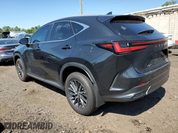 2023 Lexus NX with VIN 2T2GKCEZ4PC014027, listed as a Copart auction lot 70025704 with 24,597 mi miles and Salvage Title. Bid and sale history available at carsss.com. Image 2.