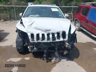 2015 Jeep Cherokee Limited with VIN 1C4PJLDS8FW566065, listed as a IAAI auction lot 42032563 with 181,937 mi miles and . Bid and sale history available at DreamBid. Image 6.