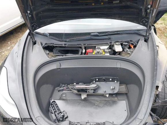 2019 Tesla Model 3 Mid Range with VIN 5YJ3E1EA2KF317028, listed as a IAAI auction lot 41781580 with 107,496 mi miles. Bid and sale history available at carsss.com. Image 10.