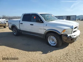 2010 Dodge Ram 1500 ST with VIN 1D7RB1CTXAS178717, listed as a Copart auction lot 45199405 with 298,140 mi miles and Salvage Title. Bid and sale history available at carsss.com. Image 4.