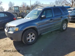 2005 Ford Escape XLT with VIN 1FMYU03175KA09037, listed as a Copart auction lot 43408185 with 145,482 mi miles and Salvage title. Bid and sale history available at DreamBid. Image 1.